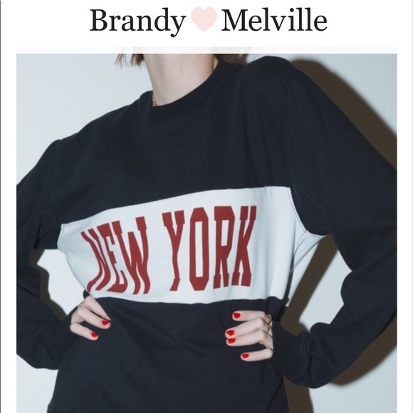 Brandy Melville Sweaters - Brandy Melville New York Erica Sweater